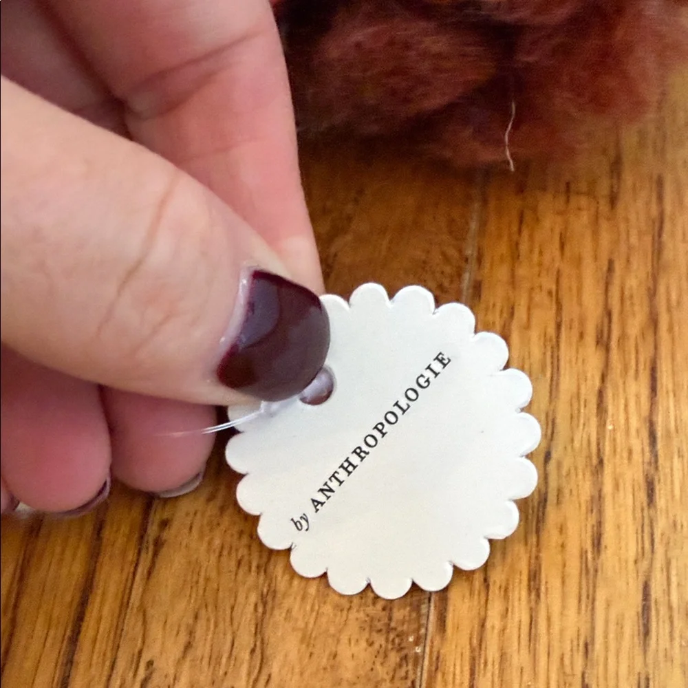Anthropologie used flicked